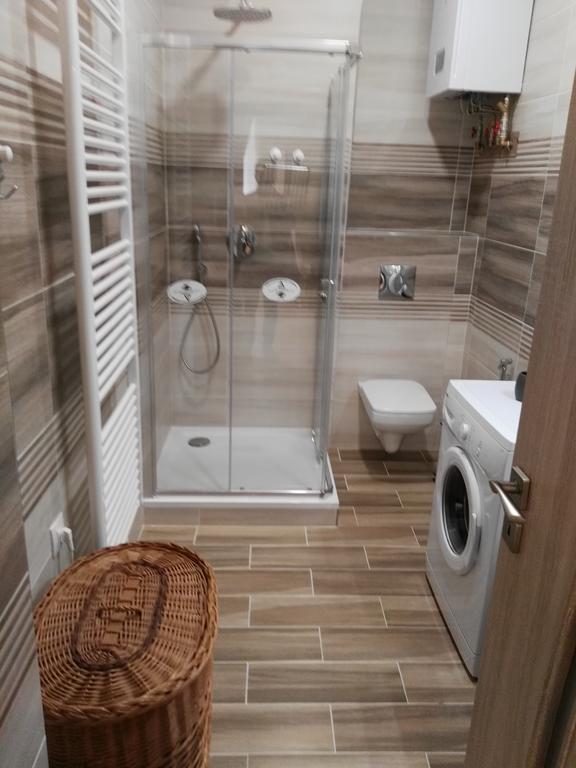 Apartment Belehradska *